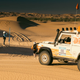 Image for article titled 2022 Rebelle Rally Stage Seven: Decision Day at the Imperial Sand Dunes